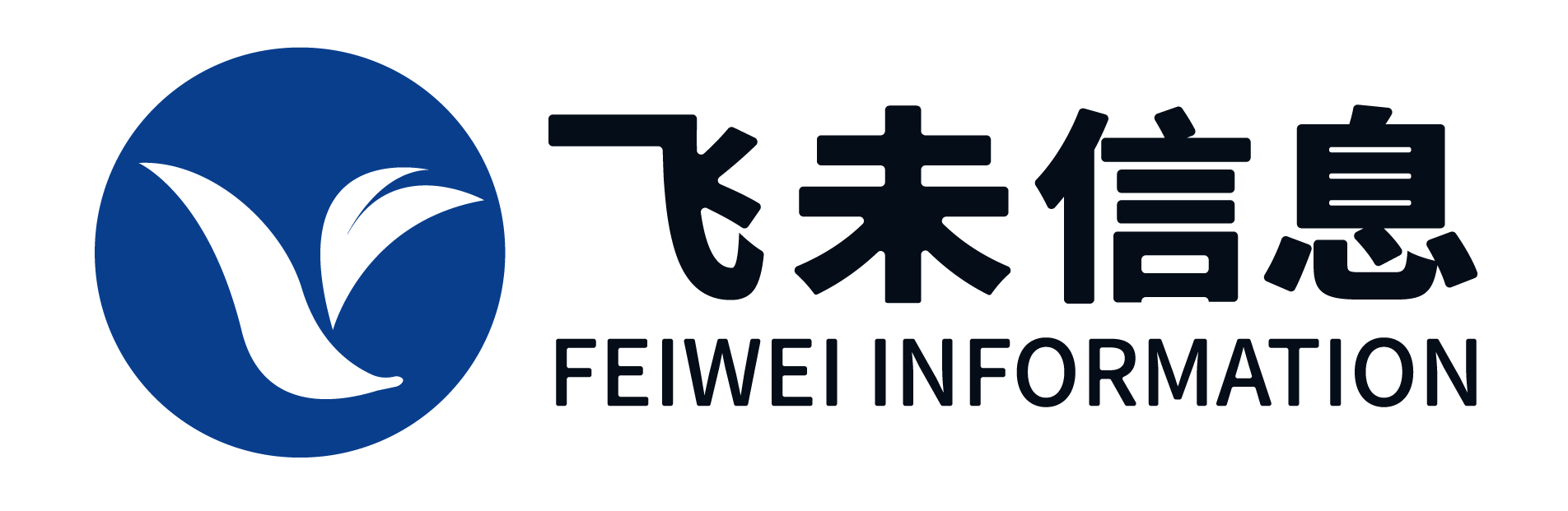 上海飞未信息技术有限公司